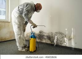 Best Mold Damage Restoration  in Lehi, UT